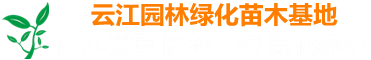 武汉云江园林绿化苗木基地苗木销售，园林工程，绿化养护，武汉园林绿化苗木基地