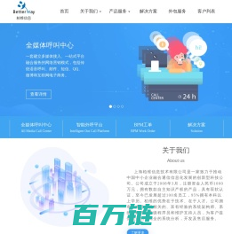 上海柏维信息技术有限公司